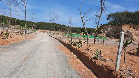 လောင်းလုံးမြို့နယ် သောကြာပြင်ကျေးရွာတွင် မြေကွက်ရိုက်ရောင်းချပြီးဖြစ်သည့် နေရာတစ်ခုကို ဒီဇင်ဘာလ ၁၇ ရက်နေ့က တွေ့ရစဉ်။