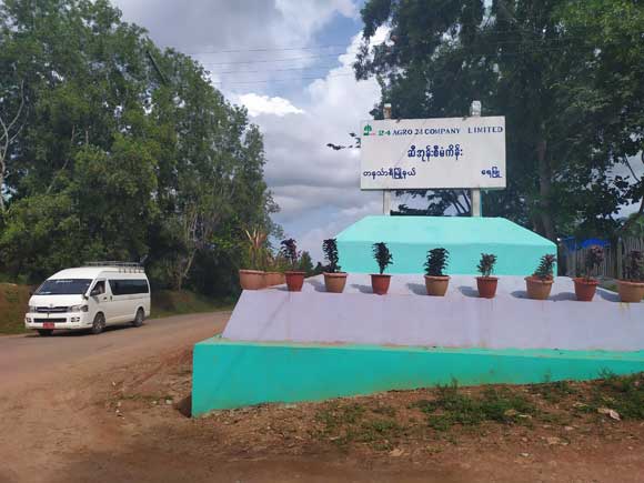 “ကျူး” ချင်းပြိုင် မည်သူနိုင်