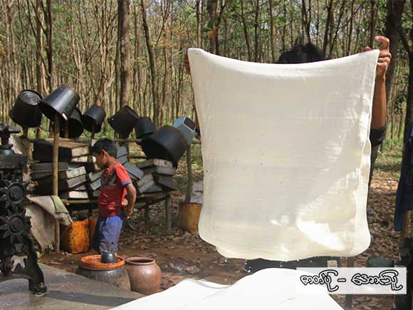 ရော်ဘာအတုံးလုပ်သည့် တောင်သူများလာ