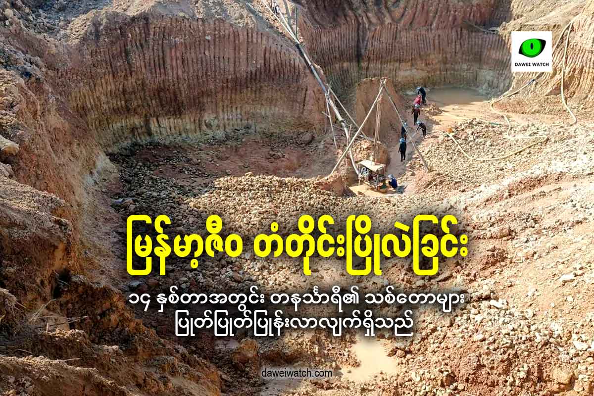 မြန်မာ့ဇီဝ တံတိုင်းပြိုလဲခြင်း