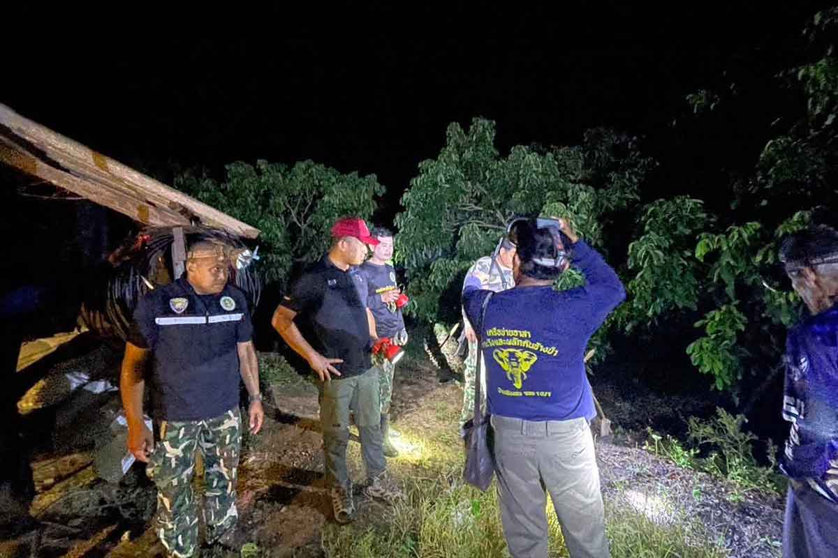 ထိုင်းတွင် ဆင်နင်းခံရပြီး မြန်မာအမျိုးသမီးတစ်ဦးသေဆုံး