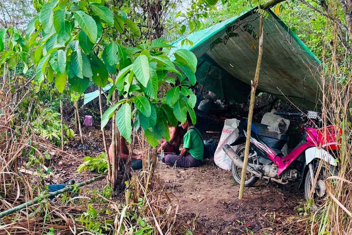 တနင်္သာရီတွင် စစ်ဘေးရှောင်များ ငှက်ဖျားအဖြစ်များလာ