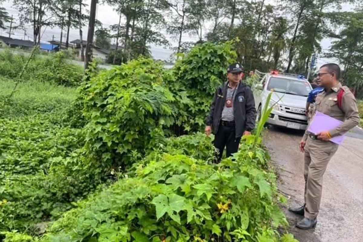 ထိုင်းတောင်ပိုင်းတွင် မြန်မာအမျိုးသမီးတစ်ဦး အသတ်ခံရ