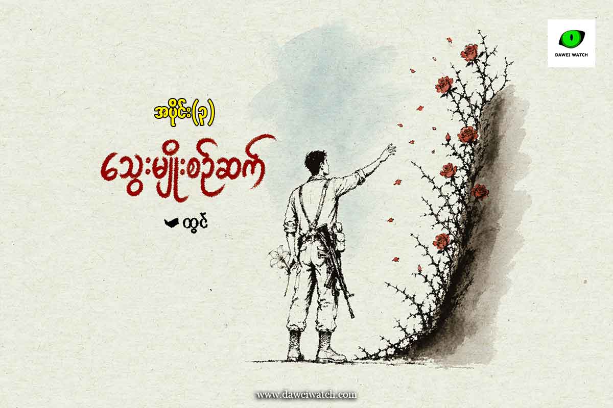 သွေးမျိုးစဥ်ဆက်