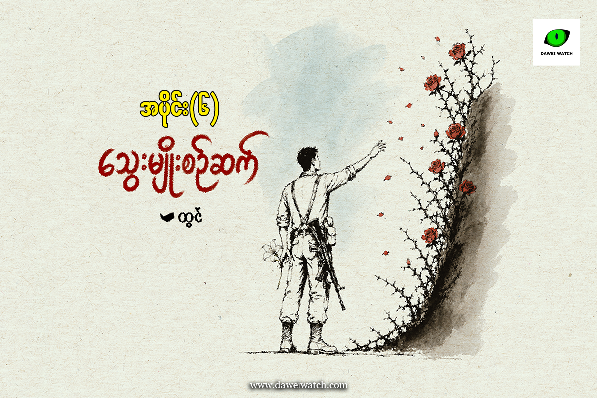 သွေးမျိုးစဥ်ဆက်