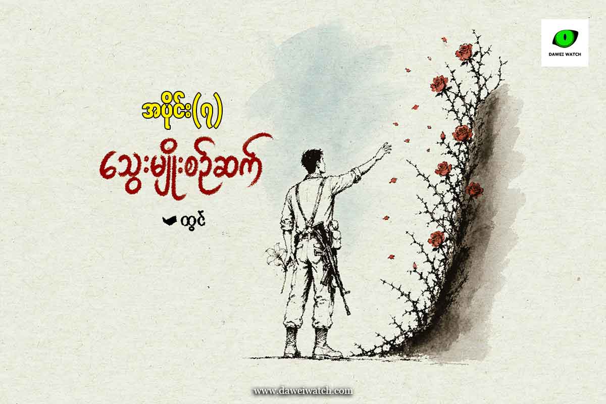 သွေးမျိုးစဥ်ဆက်